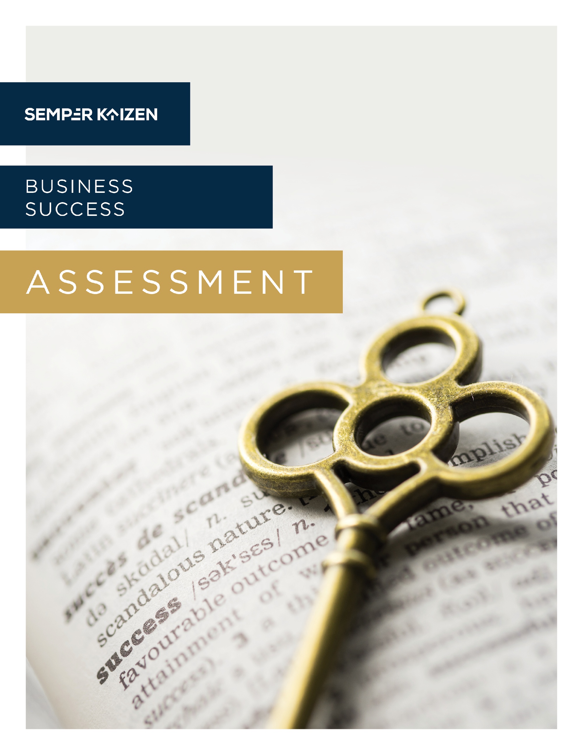 Business Success Assessment | Semper Kaizen