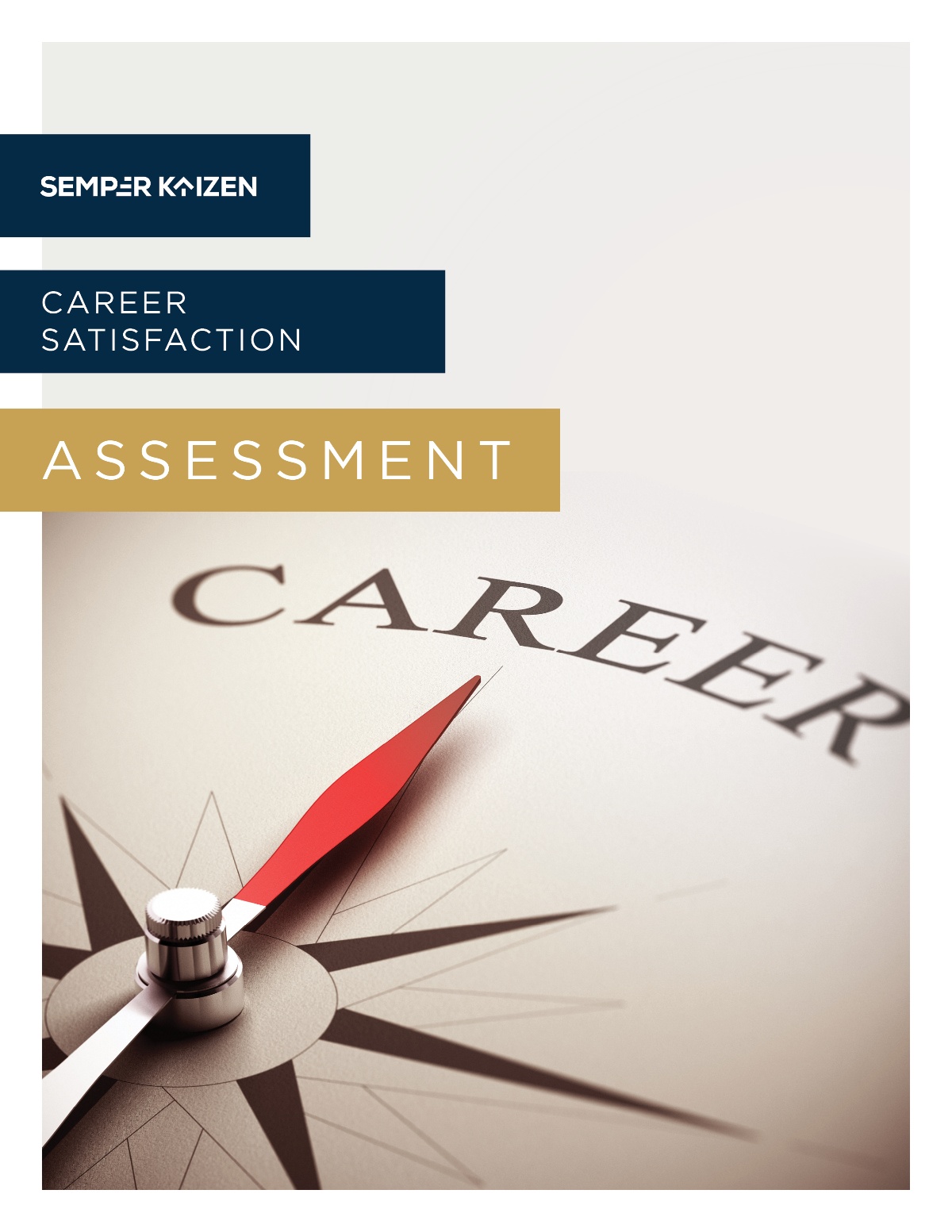 Career Satisfaction Assessment | Semper Kaizen