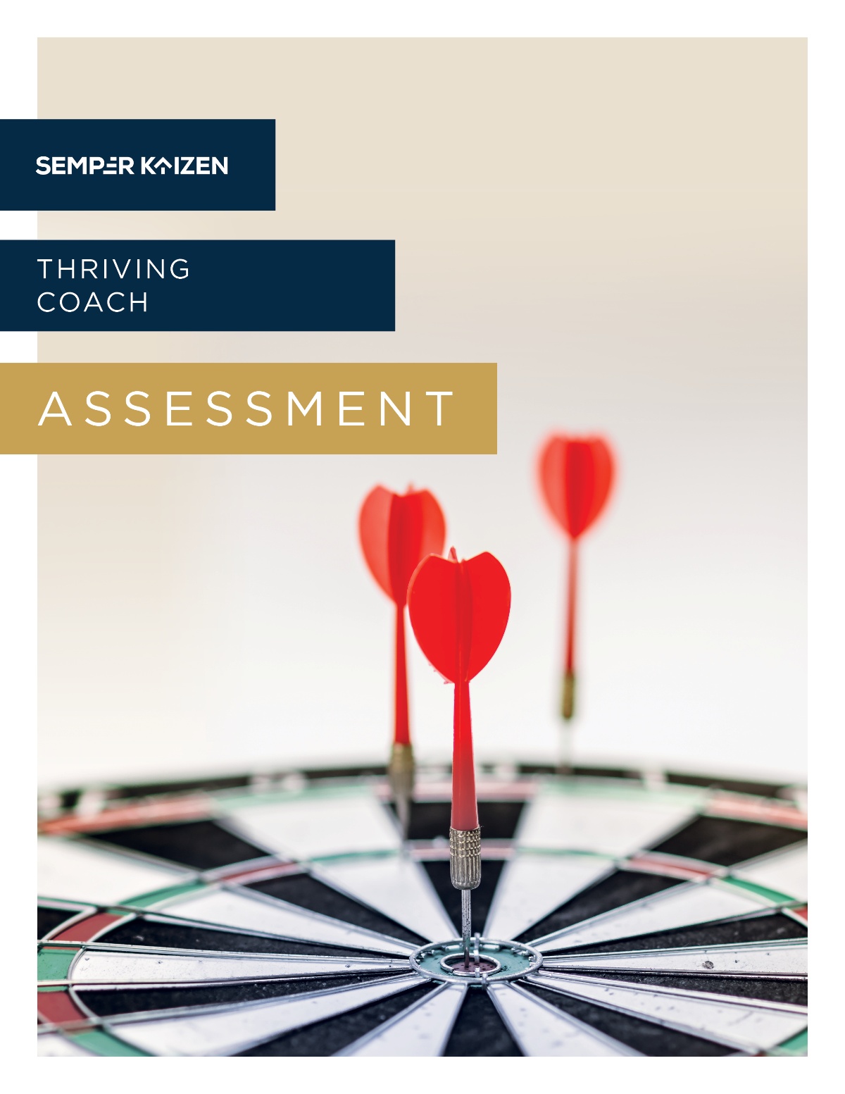 Thriving Coach Assessment | Semper Kaizen